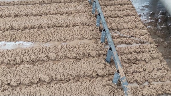 带式压滤机滤布老是跑偏打折怎么办？耐磨、不跑偏滤布【旭瑞网业】